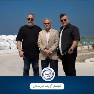 خانواده آژینه
